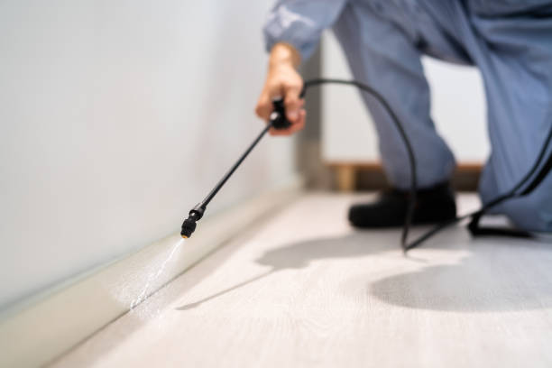 Licensed Pest Control service in Robersonville, NC - Show Me Pest Control