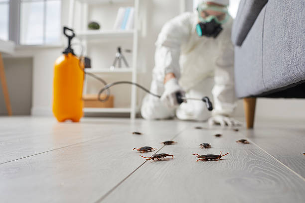 Commercial Kitchen Cockroach Control in Robersonville